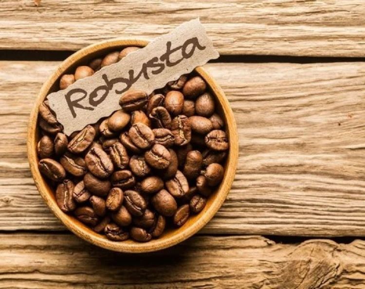 Robusta Coffee: The Secret Ingredient in Vietnam’s Unique Salted Coffee